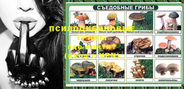 амф Алзамай