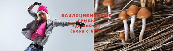 герыч Алексин