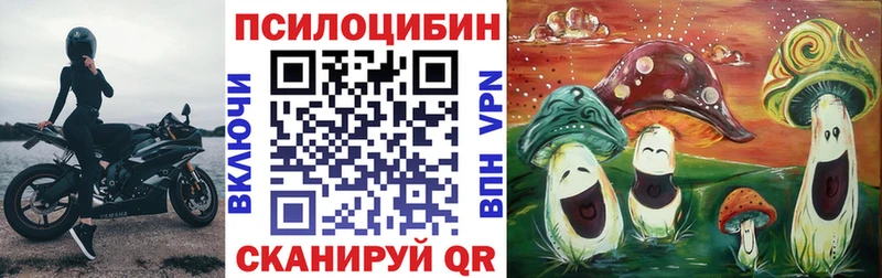 Галлюциногенные грибы Magic Shrooms  купить   Малоархангельск 